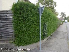 Gilde Gartenbau Bisingen Projekt Zugang zur Haustür + Terasse 04